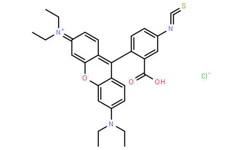 异硫氰酸罗丹明B