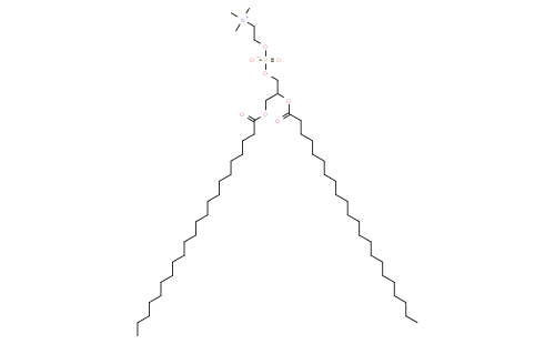 1,2-dibehenoyl-sn-glycero-3-phosphocholine