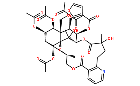 Wilfortrine