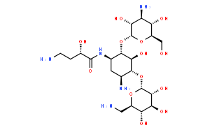 丁胺卡那霉素碱