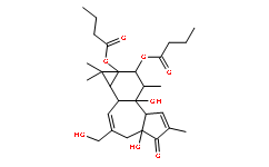 Phorbol 12,13-dibutyrate(37558-16-0)