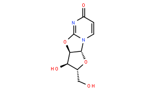 2,2'-O-环尿苷