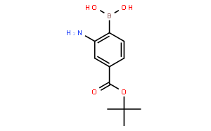 4-(N-BOC-氨基)苯硼酸