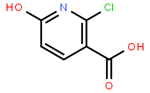 2-氯-6-羟基烟酸