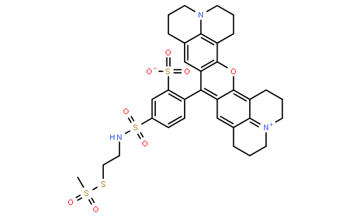 TexasRed?-2-sulfonamidoethylmethanethiosulfonate