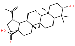 3-Epibetulinic acid