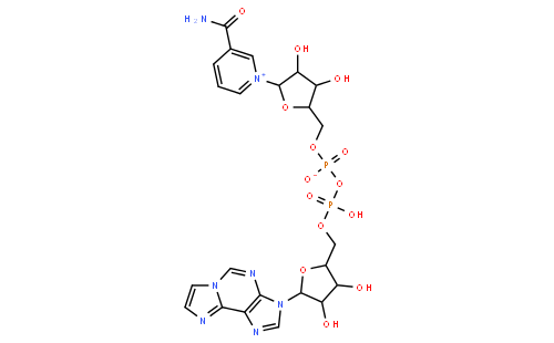 Nicotinamide1,N6-EthenoadenineDinucleotide