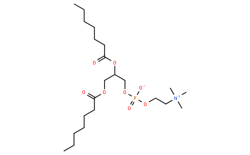 1,2-diheptanoyl-sn-glycero-3-phosphocholine