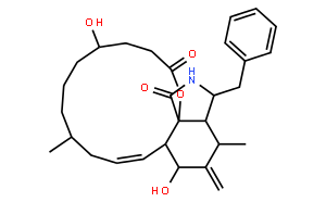 Dihydrocytochalasin B