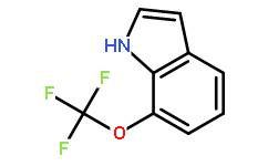 7-(三氟甲氧基)-1H-吲哚