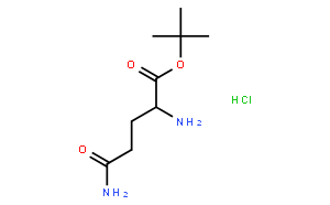 H-Gln-OtBu.HCl