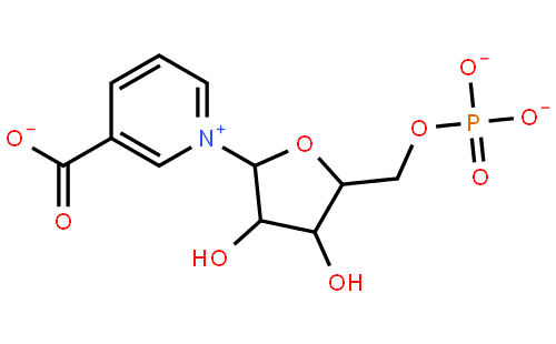 β-NicotinicAcidMononucleotide