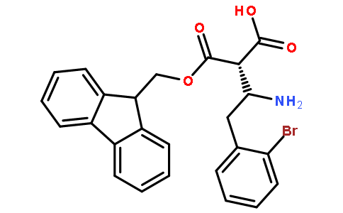 Fmoc-(S)-3-Amino-4-(2-bromophenyl)-butyric acid