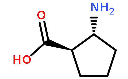 (1R,2R)-2-amino-cyclopentanecarboxylic acid