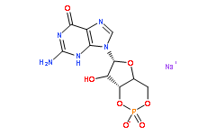 鳥苷-3'，5'-環(huán)磷酸鈉鹽