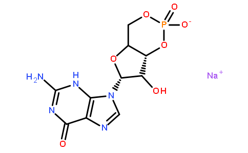 鸟苷-3'，5'-环磷酸钠盐