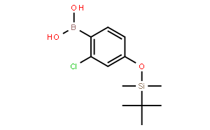 2-氯-4-(TBDMSO)-苯硼酸