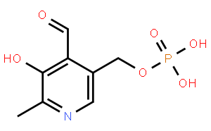 磷酸-5-吡哆醛水合物