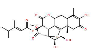 鴉膽亭