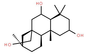 2，6，16-贝壳杉烯三醇