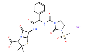 青霉素β-内酰胺抗生素