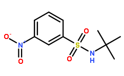 N-叔丁基-3-硝基苯磺酰胺