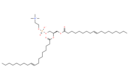 1,2-dioleoyl-sn-glycero-3-phosphocholine