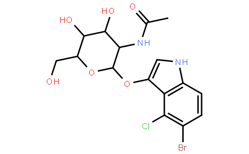 5-溴-4-氯-3-吲哚基-N-乙酰-beta-D-氨基葡萄糖苷