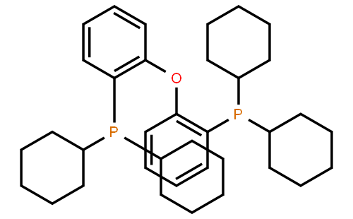 双(二环己基膦基苯基)醚