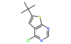 6-叔丁基-4-氯-噻吩[2,3-D]嘧啶