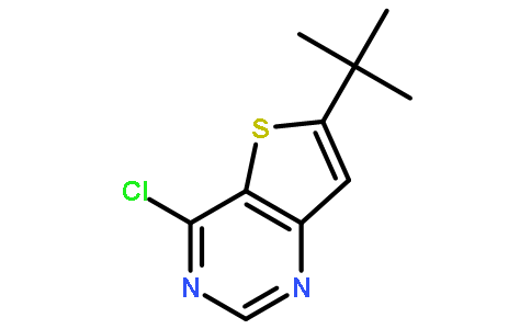 6-叔丁基-4-氯噻酚[3,2-D]嘧啶