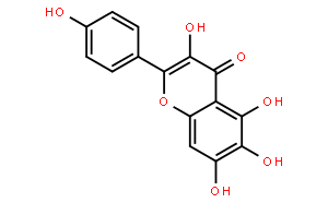 6-羥基山奈酚