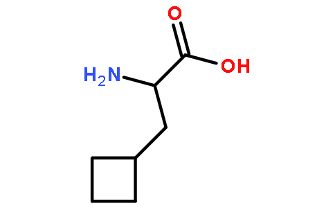 DL-环丁基丙氨酸