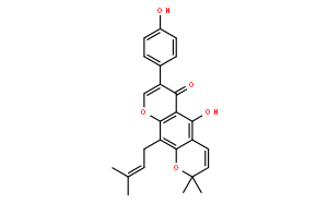 攀登鱼藤异黄酮