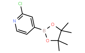 2-氯吡啶-4-硼酸頻哪醇酯