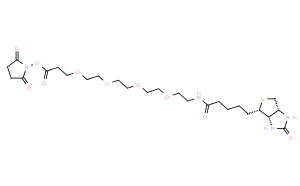 15-生物素-氨基-4,7,10,13-二氧杂壬酸N-羟基琥珀酰亚胺