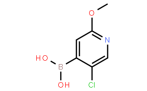 5-氯-2-甲氧基-4-吡啶硼酸