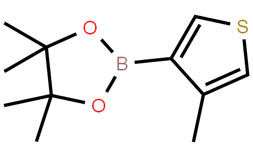4-Methylthiophene-3-boronic acid, pinacol ester