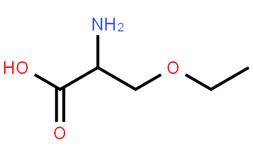 (S)-2-amino-3-ethoxypropanoic acid