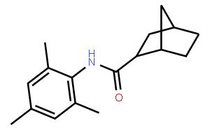 ML 213
