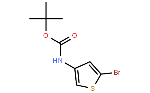 2-Bromo-4-(N-tert-butyloxycarbonylamino)thiophene