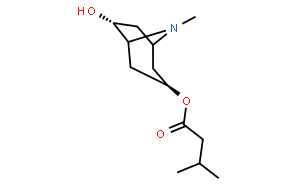戊茄堿