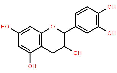 表儿茶素