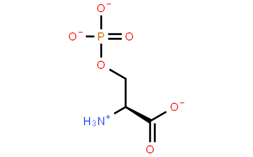 L-O-磷酸丝氨酸