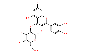 槲皮素-3-D-半乳糖苷