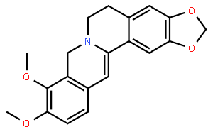 Dihydroberberine/Dihydroumbellatine
