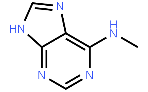 N-Methyl-7H-purin-6-amine