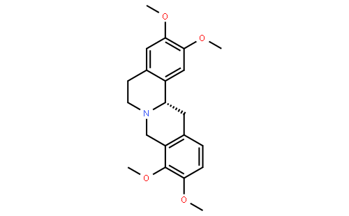 Rotundine