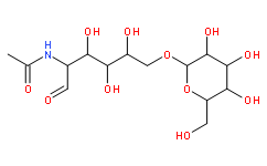β1-6 Galactosyl-N-acetyl glucosamine