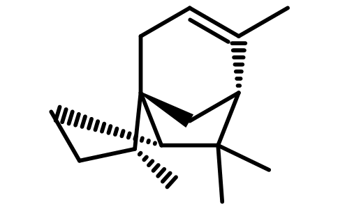 萜烯结构式